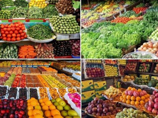 Import Export</br>Owoców i warzyw